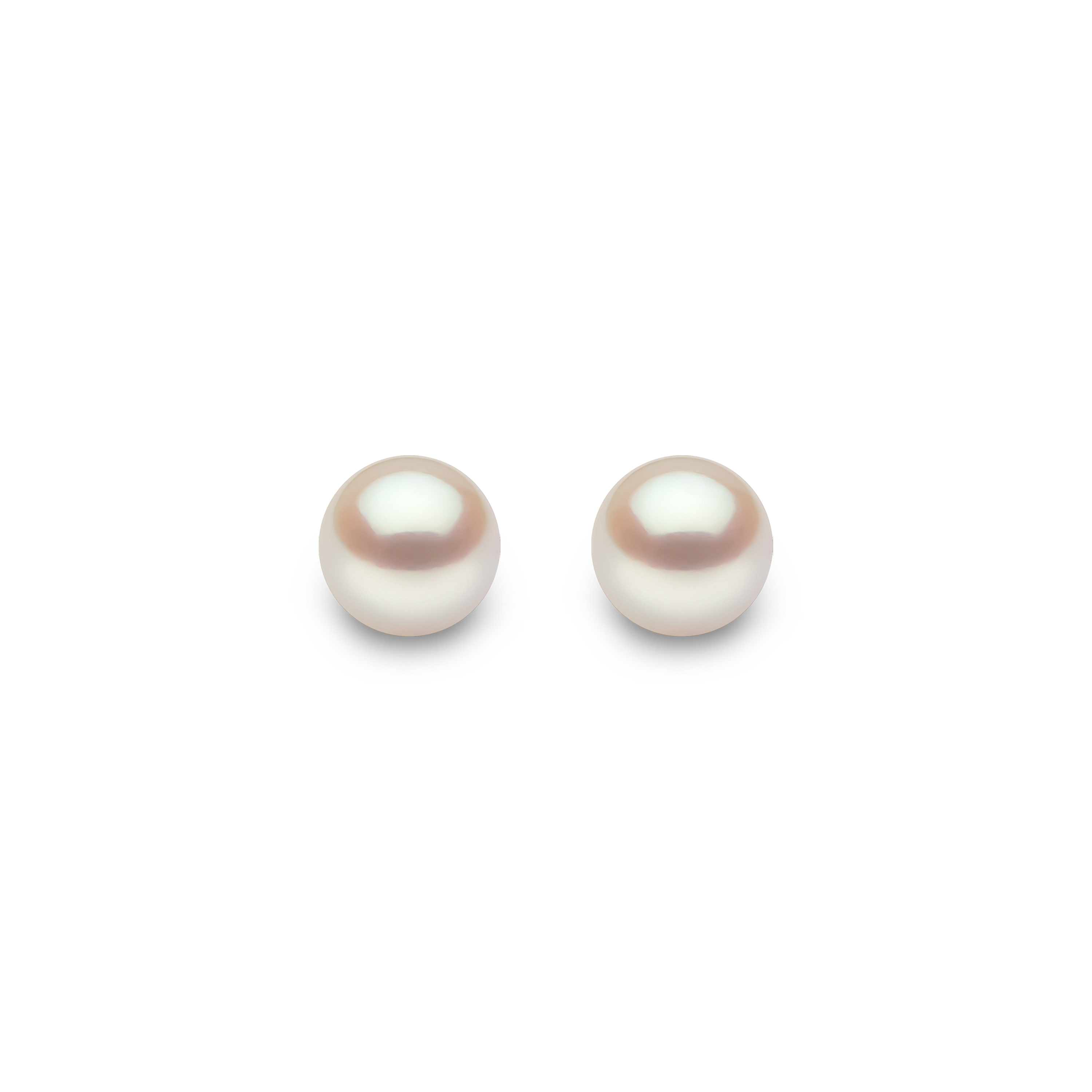 Classic 18K Gold AAA Akoya Pearl Stud Earrings