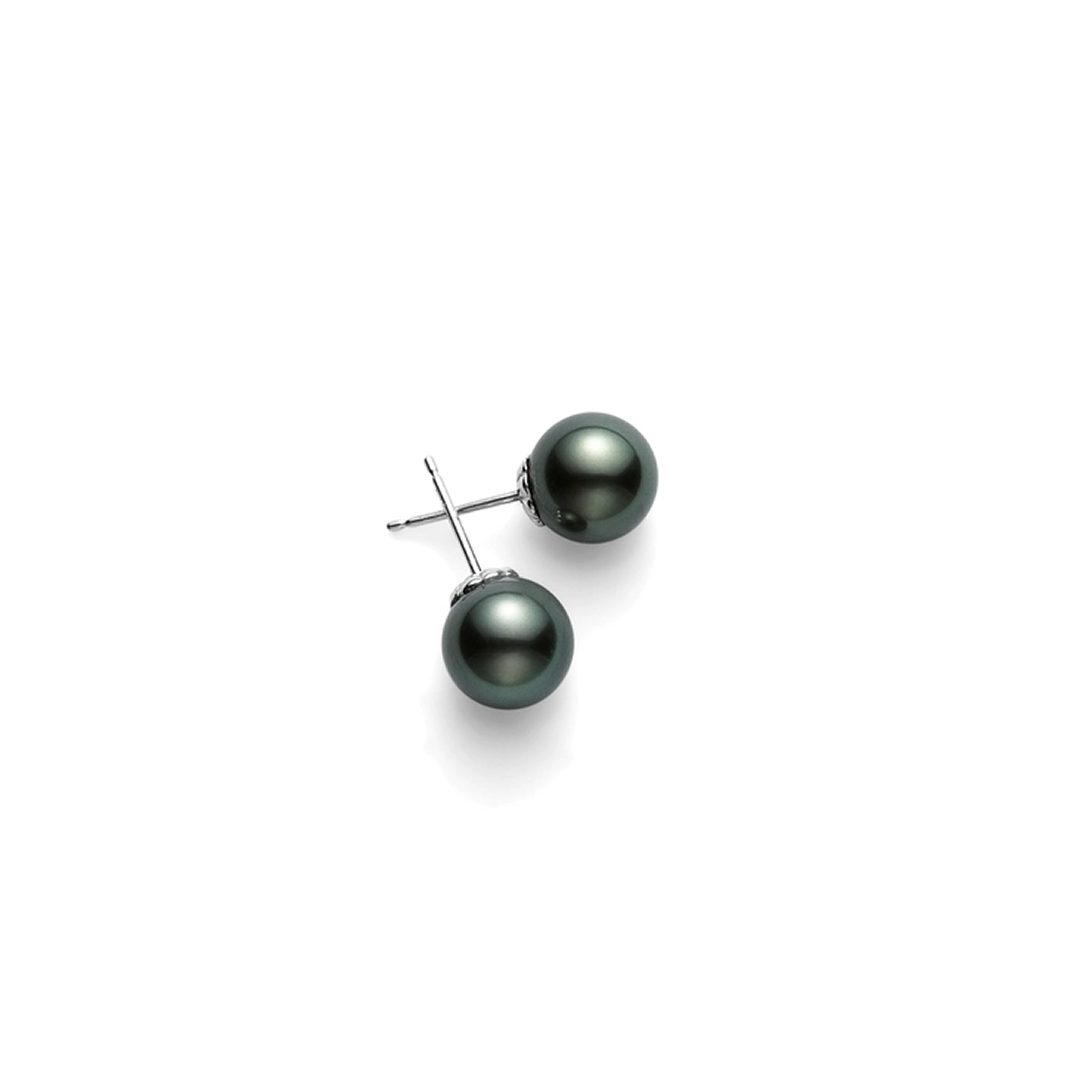 Black South Sea Stud Earrings – 18K White Gold